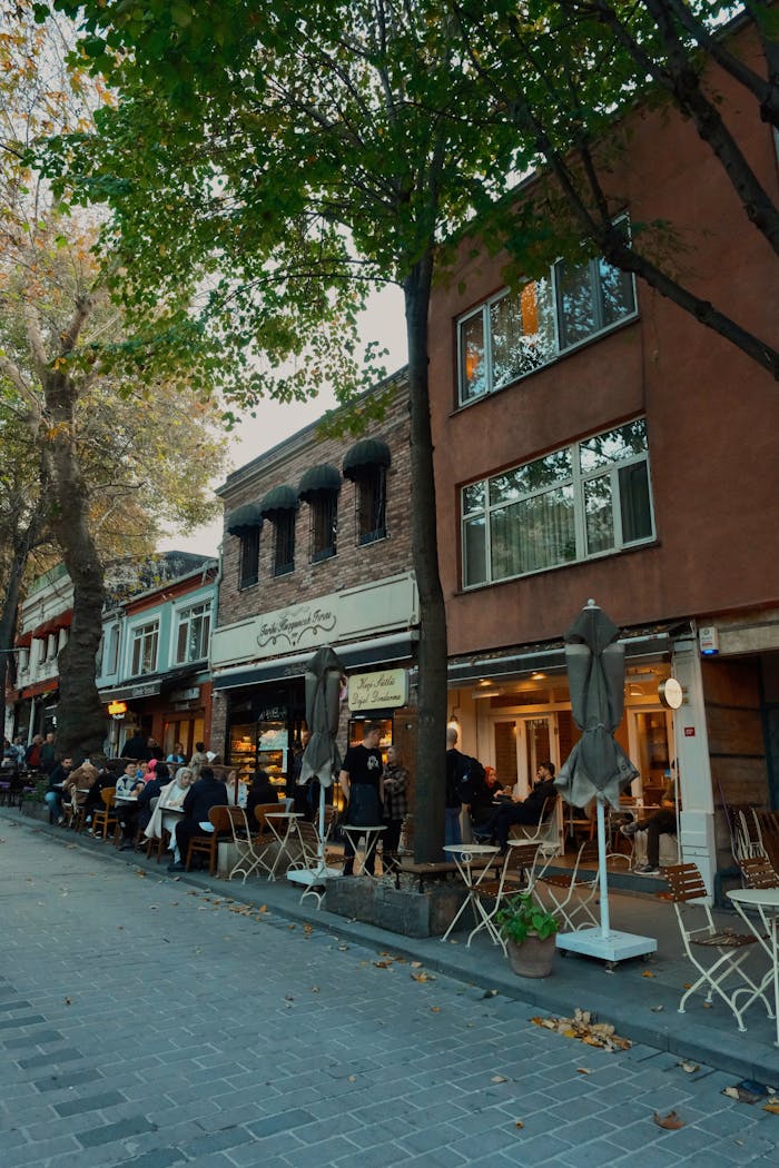 Charming outdoor café with people dining under trees in urban street.
